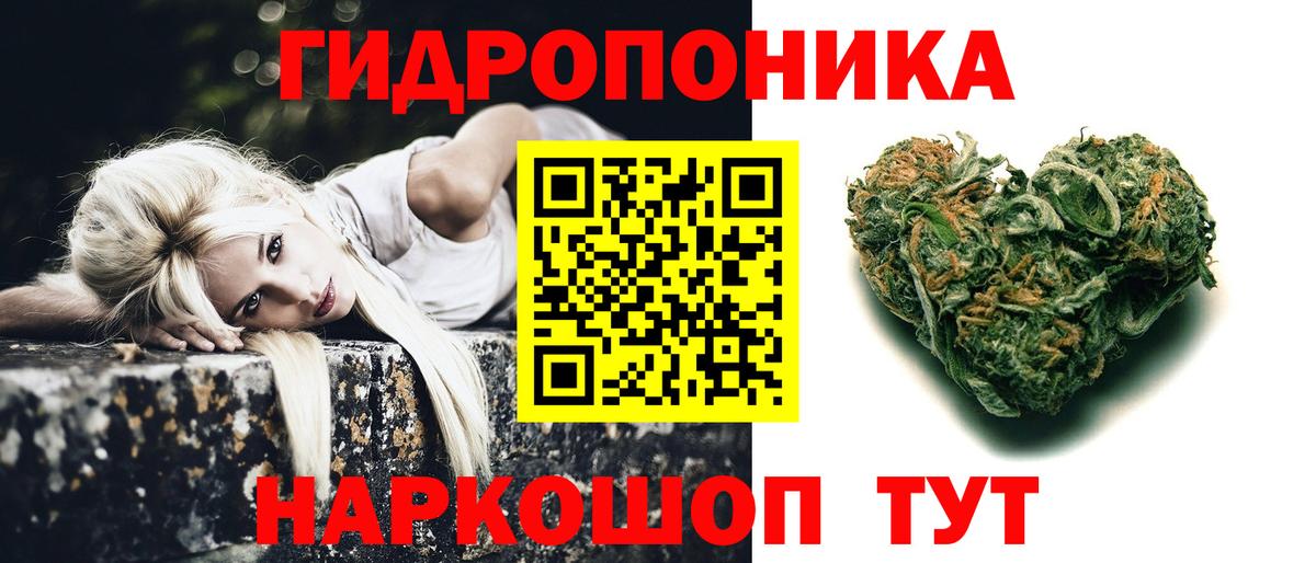 Каннабис сатива  Вход с VPN  Конопля семена  Гагарин  Бошки марихуана Amnesia 
